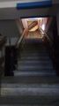 les-escaliers-interieur.jpg