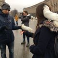 photo1jpg.jpg
