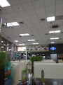 image1536404945032.png