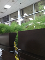 image1536404958167.png