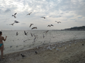 image1537090953265.png
