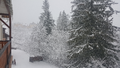 image1518541196687.png