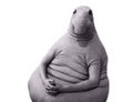 FullSizeRender.jpg