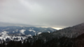 image151645651079320181107-6787-8r354g.png