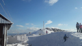 image151854114753620181107-6787-1m1ikeb.png