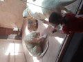 image1546240208212.png