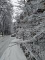 IMG_20181225_093747.jpg