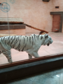 image1546508381763.png