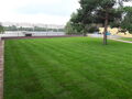 20180713_115148.jpg