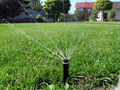 20180920_124753.jpg