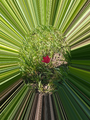 image1515230430295.png