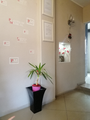 image1548769743818.png