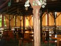dsc09588-largejpg.jpg