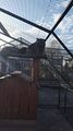 20181030-151021-largejpg.jpg