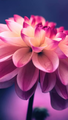 image1549294276427.png