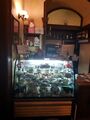 20190213-170254-largejpg.jpg