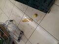 varus-market-dnepropetrovsk_5b8e7ba7be6ee.jpg