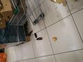 varus-market-dnepropetrovsk_5b8e7ba838fe7.jpg