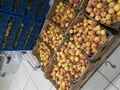 varus-market-dnepropetrovsk_5b8e7ba8f16a2.jpg