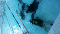 image1520265566616.png