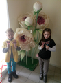 image1520947725393.png