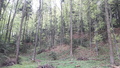 image1556686769239.png