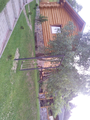 image1516475239238.png