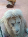 image1516526134844.png