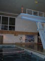 402196.jpg