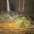 image155683151042520190715-13759-1h6g2pv.png
