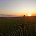 IMG_20190720_094209_255.jpg
