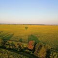 IMG_20190720_094209_236.jpg