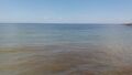 20190711_104624.jpg