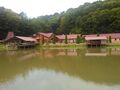 IMG_2019-07-28_122349.jpg