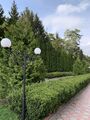 458EA44E-6507-470B-BED6-60CC3D1DB7E0.jpeg