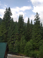image156166342282220190805-6189-vme0t6.png
