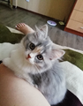 image1565289946184.png