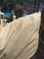 IMG_20190807_124816.jpg