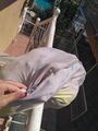 IMG_20190807_124848.jpg