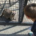 img-20190816-173631-991.jpg