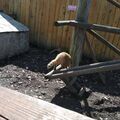 img-20190816-173632-034.jpg