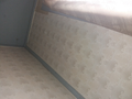 image1566295341500.png