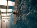 image156515959822620190829-4282-1w4x3wa.png