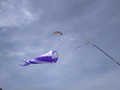 image1568067587278.png