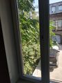IMG_20190913_123618.jpg