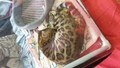 image1569577208062.png