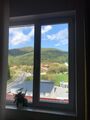 IMG_4278.JPEG