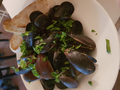 image155585337480520191015-30856-t01lzv.png