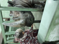 image1573415530619.png