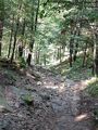 20180905-113802-largejpg.jpg